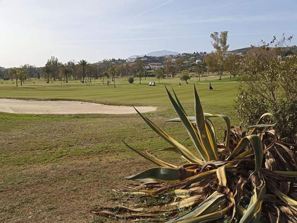 Appartement Le joyau Andalou à Estepona Extérieur photo